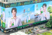 爱喝椰子水的中国人，“养肥”一个泰国富二代