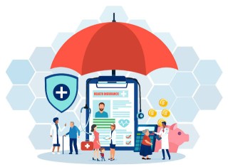 保险条款中的赔偿责任通常如何规定？