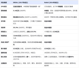 十年烧掉20亿，Rokid凭什么狙击XREAL？
