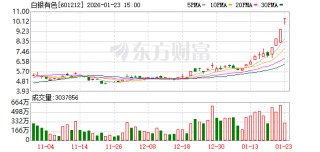 白银有色：2025年年度业绩预告