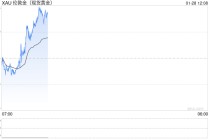 隐秘金库挑战华尔街：万亿稳定币巨擘Tether核掩体囤金140吨  目标“全球最大黄金央行之一”