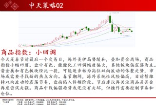 中天期货:商品指数小回调 原油高开低走