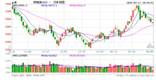 【市场聚焦】棕榈油：马来局1月报告