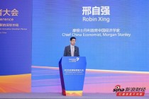 摩根士丹利首席中国经济学家邢自强：金融市场呈现“东稳西荡”情况