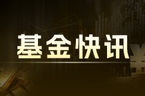 多伦科技：股价下跌 主力资金净流出 124 万