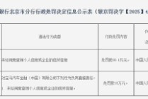 宝马金融被罚90.1万元：未经同意查询个人信息或企业的信贷信息