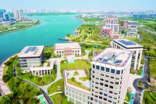 超聚变“链主”效应重塑中原算力版图