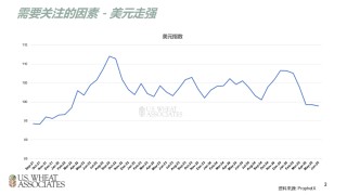 全球小麦供求情况报告 - 2025年6月