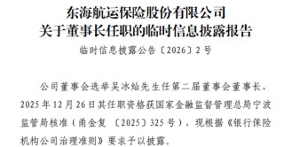 十年蝶变！“80后”董事长再添一人，高管焕新、扭亏为盈？“将帅”配齐东海保险再出发