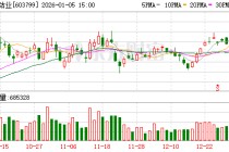 华友钴业：公司将进一步加强国际市场开拓