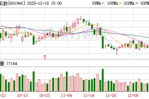 玲珑轮胎：玲珑塞尔维亚工厂为中国胎企在欧洲建立的首个生产基地，主要销售区域定位欧洲市场