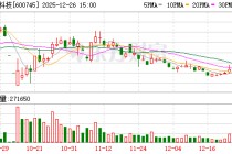 闻泰科技召开2025年第五次临时股东会 持续保障供应链稳定并积极维权