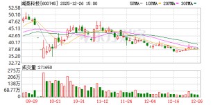 闻泰科技召开2025年第五次临时股东会 持续保障供应链稳定并积极维权