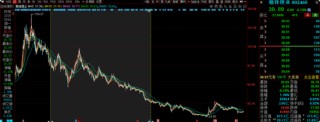 华安基金蒋璆旗下基金3年亏37%，高位持有锦江酒店引质疑