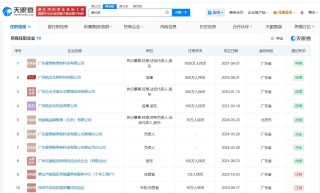 起底张雪机车竞拍公司