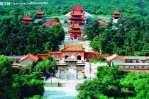 如何考察类似沈阳蓝创情形？考察过程要留意什么？