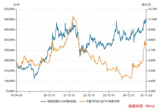 起底今年最猛的资源股