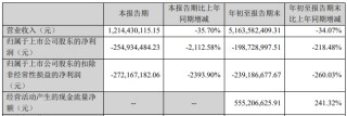 华致酒行Q3亏2.6亿 前3季亏2亿计提3.3亿资产减值准备