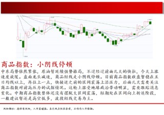 中天期货:白银继续回落 棕榈上涨减速
