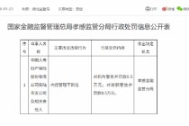 中国人寿财险安陆市支公司被罚0.5万元：内控管理不到位