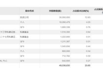 外资巨头，抱团买入大为股份