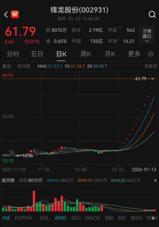 13连板大牛股锋龙股份明起停牌核查