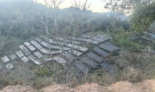 【申万宏源研究春节见闻】滇南新春行：好风好光好风光 澜沧碧波谱华章