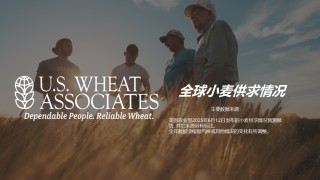 全球小麦供求情况报告 - 2025年6月