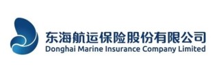 十年蝶变！“80后”董事长再添一人，高管焕新、扭亏为盈？“将帅”配齐东海保险再出发