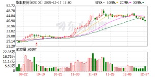 华丰股份：2026年1月6日召开2026年第一次临时股东会