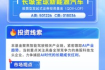 同类排名Top10！长城全球新能源车QDII放开限购