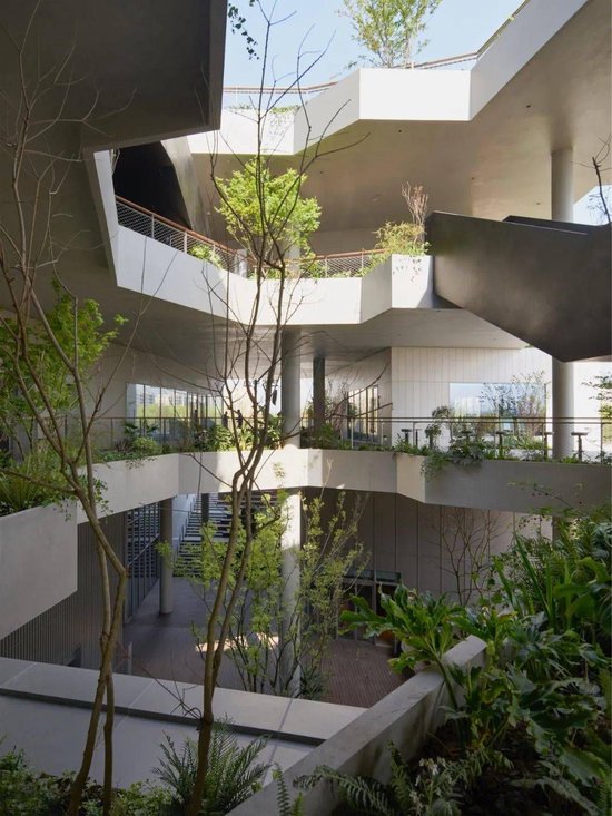 直击博鳌 | 著名建筑设计师青山周平：对“算法设计”不感兴趣  第1张