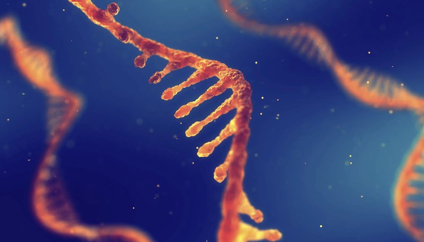 小核酸公司瑞博生物赴港IPO，两年亏超7亿  第1张