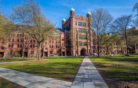 耶鲁折价抛售25亿美元私募股权套现 捐赠者陷入恐慌 第1张 耶鲁折价抛售25亿美元私募股权套现 捐赠者陷入恐慌 第1张