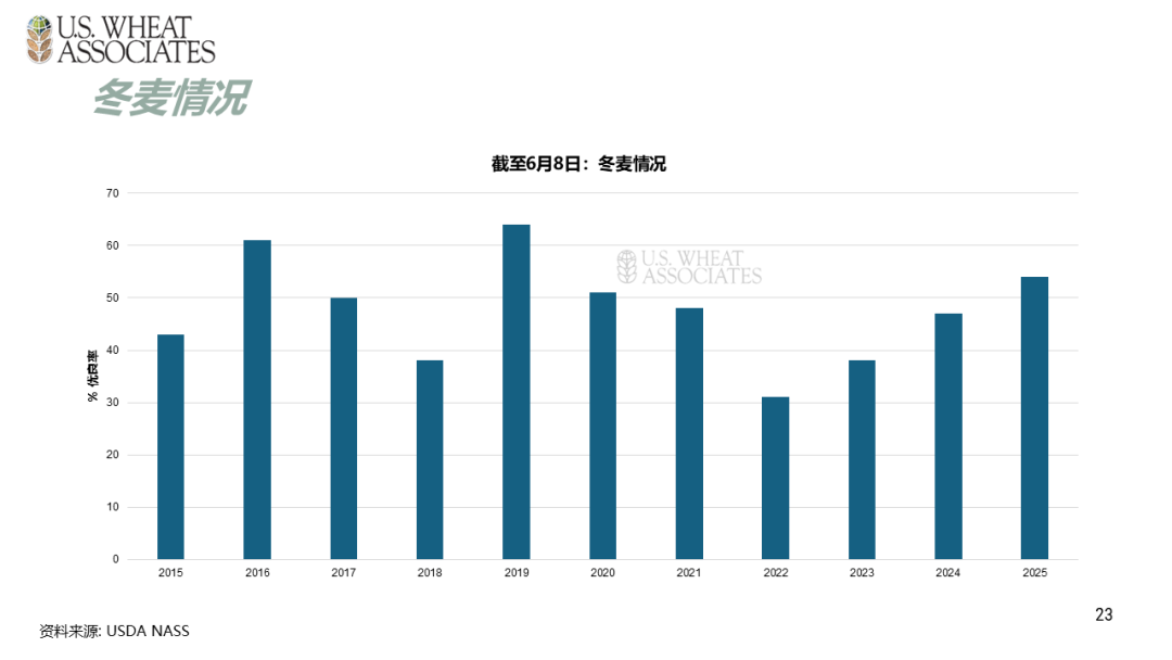 全球小麦供求情况报告 - 2025年6月  第26张