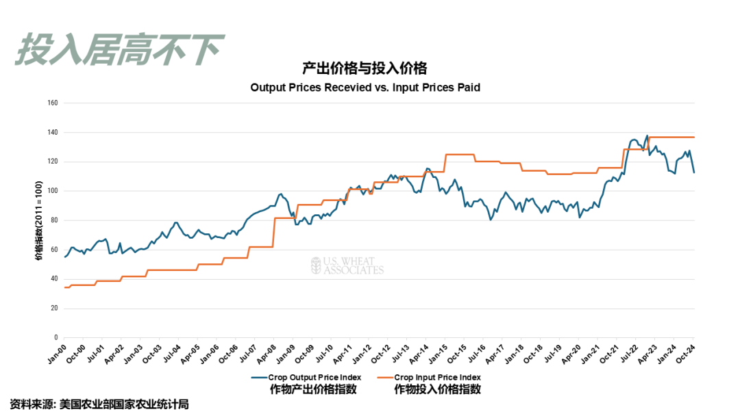 全球小麦供求情况报告 - 2025年6月  第37张