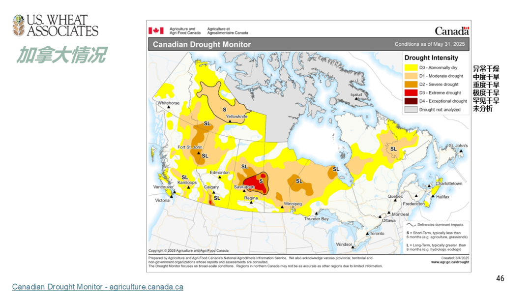 全球小麦供求情况报告 - 2025年6月  第49张