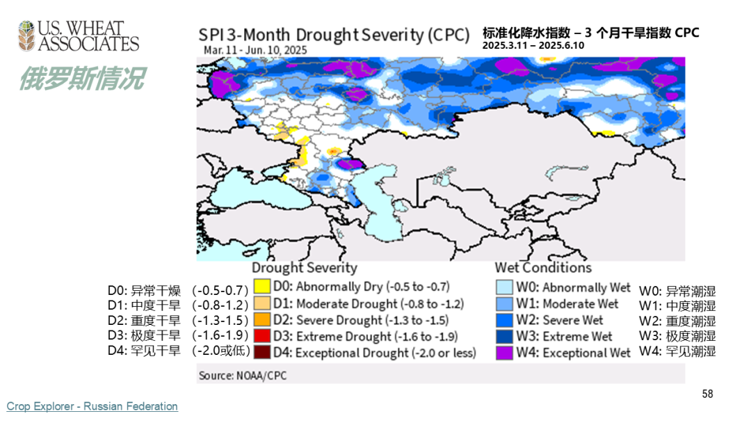 全球小麦供求情况报告 - 2025年6月  第61张
