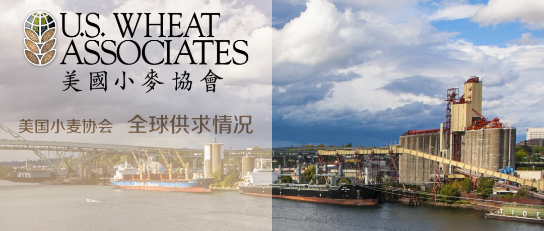 全球小麦供求情况报告 - 2025年6月  第77张