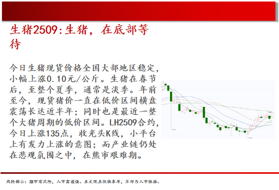 中天期货:白银继续回落 棕榈上涨减速  第4张