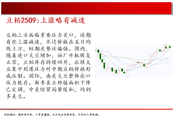 中天期货:白银继续回落 棕榈上涨减速  第9张