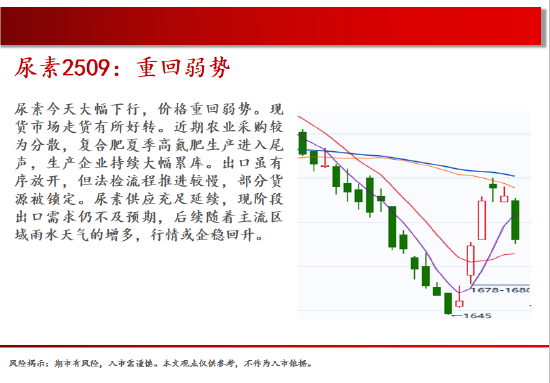 中天期货:白银继续回落 棕榈上涨减速  第15张