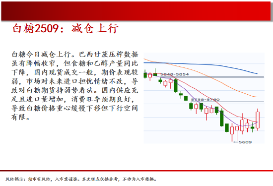 中天期货:白银继续回落 棕榈上涨减速  第16张