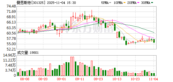 曼恩斯特：选举职工代表董事  第1张