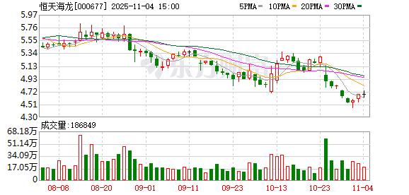 恒天海龙：公司无逾期担保  第1张