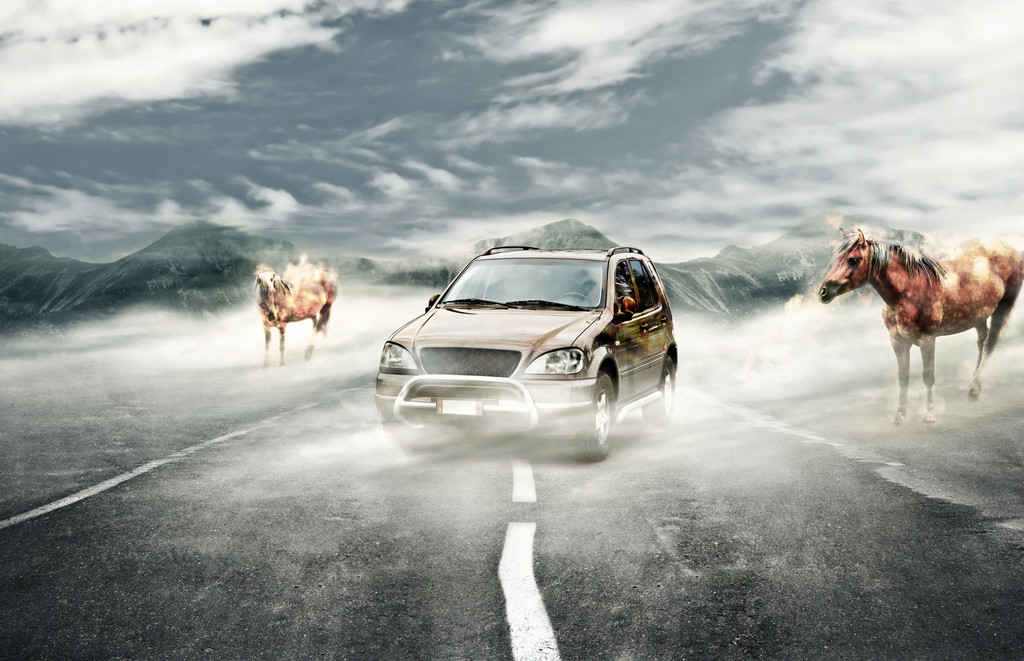 汽车玻璃裂痕修复多少钱? 第1张 汽车玻璃裂痕修复多少钱? 第1张