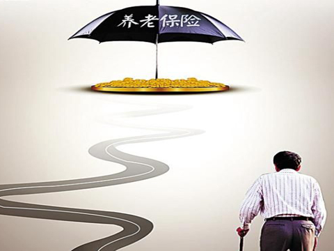 年金险和养老金的区别是什么？  第1张