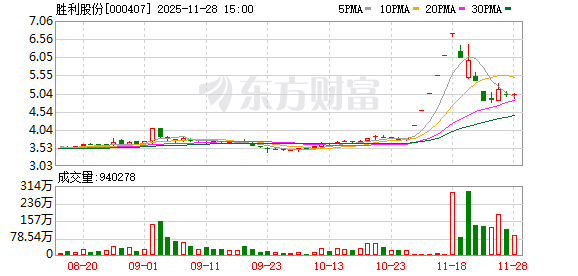 胜利股份：只要符合公司战略方向、有利于公司清洁能源发展的业务，公司都会跟踪、研究  第1张
