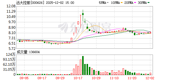 远大控股：公司及控股子公司对外担保额度总金额1050185万元  第1张