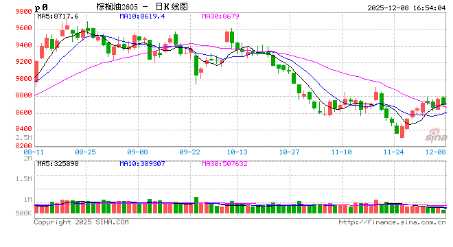 棕榈油：外强内弱格局延续，12月首周价格冲高  第2张